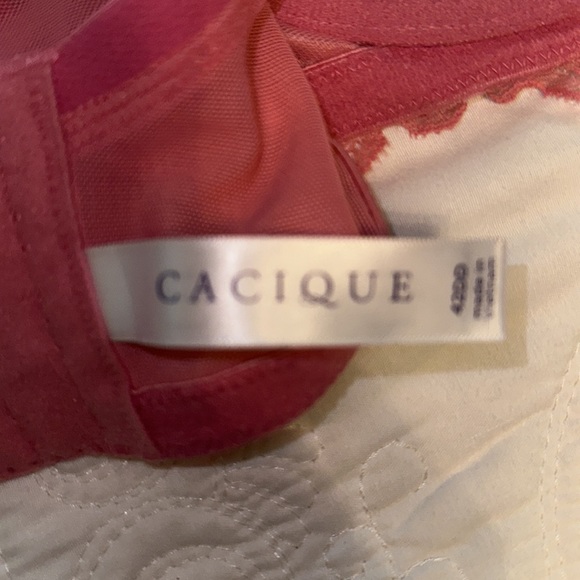 Cacique 42DD Bra - Picture 4 of 8